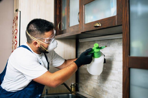 Best Residential Pest Control  in Hagerstown, MD