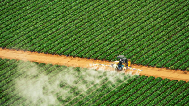 Best Pest Control for Homes  in Hagerstown, MD