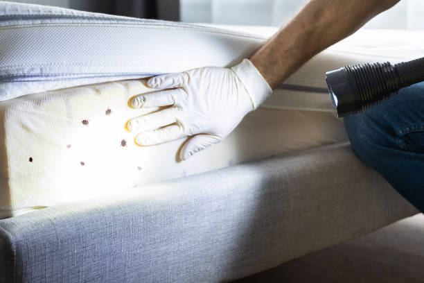 Best Pest Control Near Me  in Hagerstown, MD