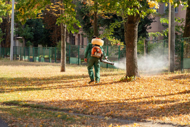 Best Affordable Pest Control Services  in Hagerstown, MD