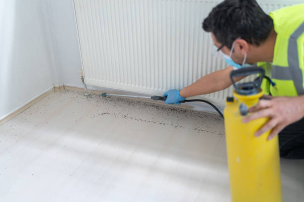 Best Bed Bug Extermination  in Hagerstown, MD